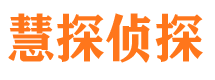 绿园市侦探公司